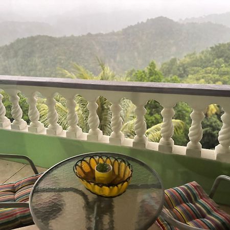 Matthew'S Miracle View Bed and Breakfast Roseau Buitenkant foto
