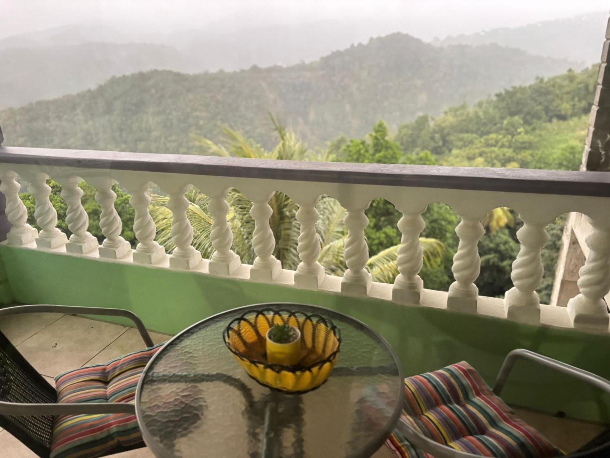 Matthew'S Miracle View Bed and Breakfast Roseau Buitenkant foto