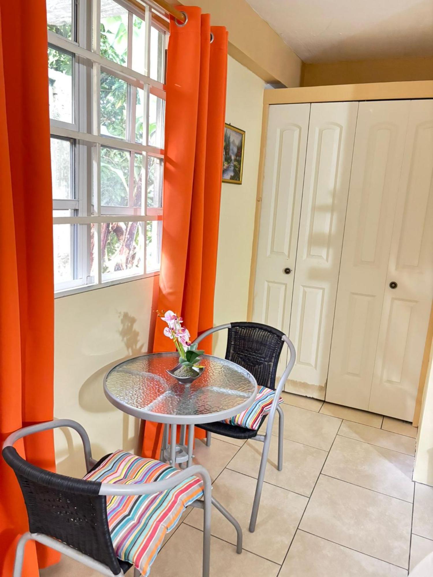 Matthew'S Miracle View Bed and Breakfast Roseau Buitenkant foto